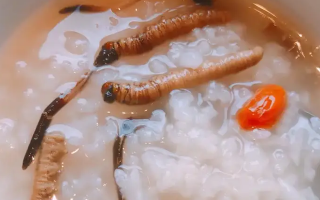 東強(qiáng)堂科普：冬蟲(chóng)夏草煮粥的步驟