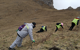 非法采挖蟲草的常見誤區(qū)、合規(guī)清單、采集證辦理流程與價(jià)值鑒定要點(diǎn)