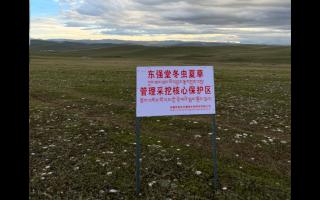 高原之上，蟲(chóng)草共生；守護(hù)生態(tài)，東強(qiáng)堂與你同行