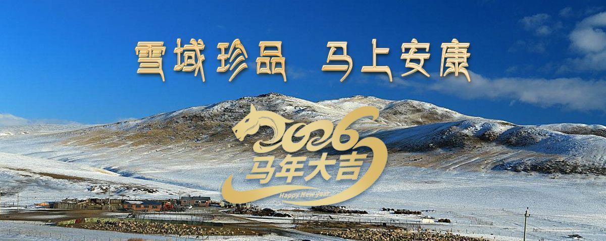 雪域高原藏珍品，2026愿您馬上安康——來(lái)自西藏那曲蟲(chóng)草網(wǎng)的新春祝福