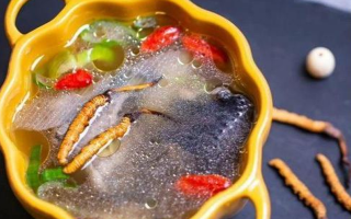 那曲冬蟲夏草辨別全指南｜教你避開市場陷阱，認準正宗珍品