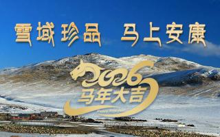 雪域高原藏珍品，2026愿您馬上安康——來(lái)自西藏那曲蟲草網(wǎng)的新春祝福